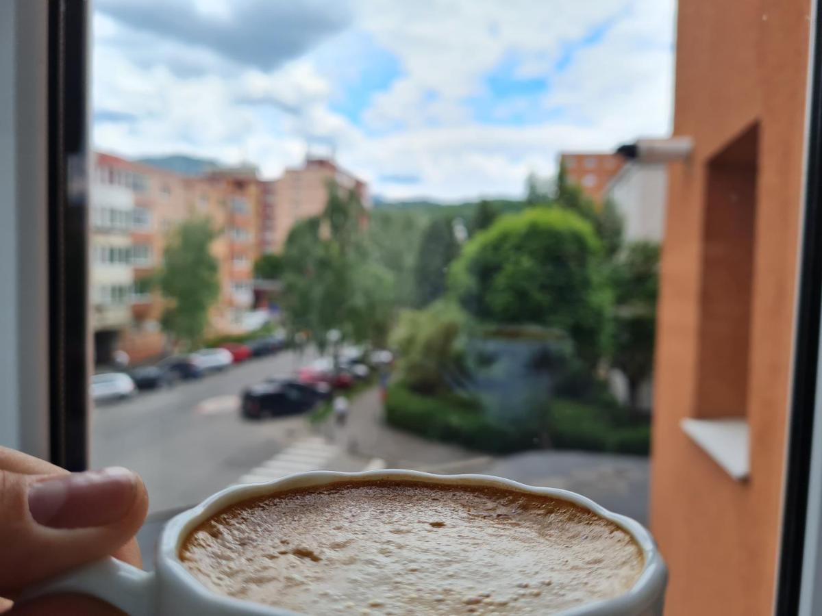 Smart Apartament Braşov Eksteriør billede
